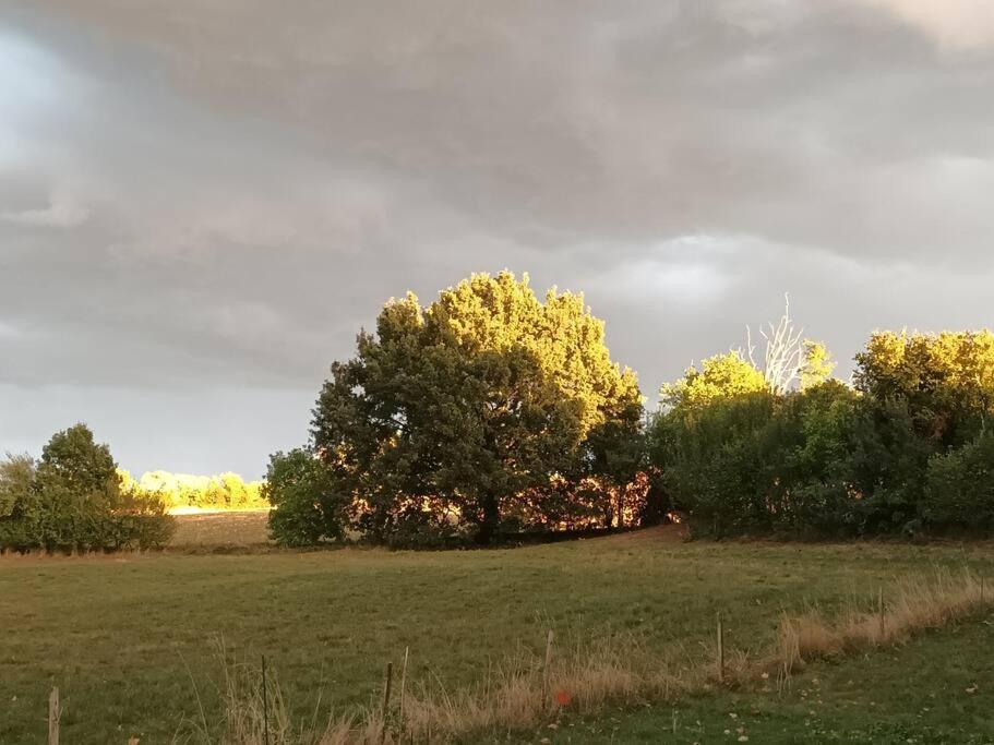 Charmant Studio Avec Jardin A La Campagne Sur Le Chemin De Saint Jacques De Compostelle Daire Lauzerte Dış mekan fotoğraf