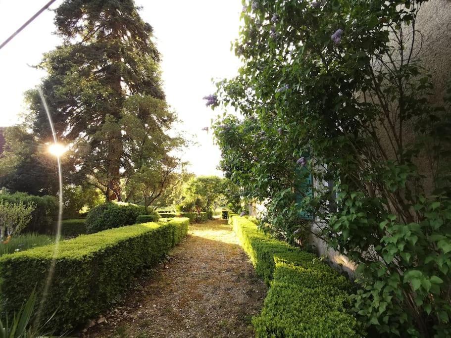 Charmant Studio Avec Jardin A La Campagne Sur Le Chemin De Saint Jacques De Compostelle Daire Lauzerte Dış mekan fotoğraf