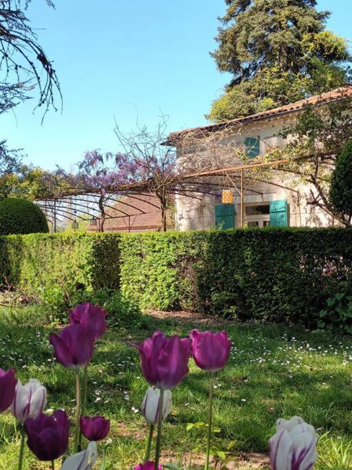 Charmant Studio Avec Jardin A La Campagne Sur Le Chemin De Saint Jacques De Compostelle Daire Lauzerte Dış mekan fotoğraf